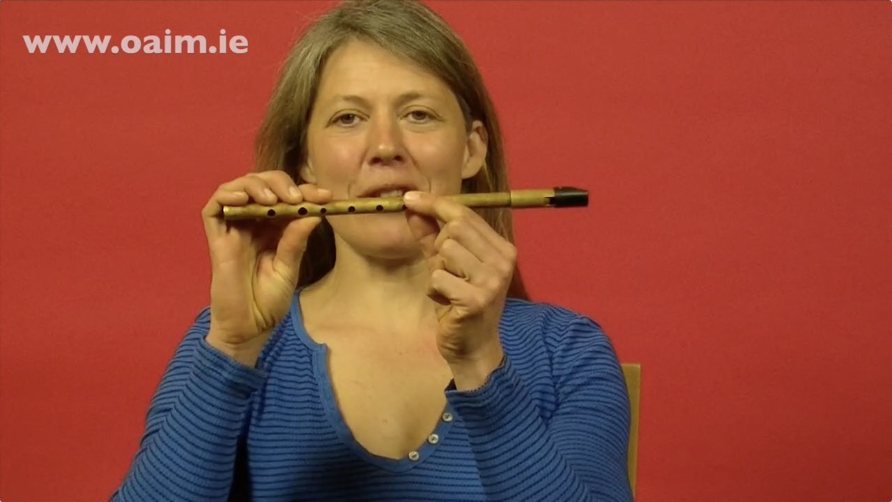 Cours Debutants de Tin Whistle en Francais Online Academy of Irish Music