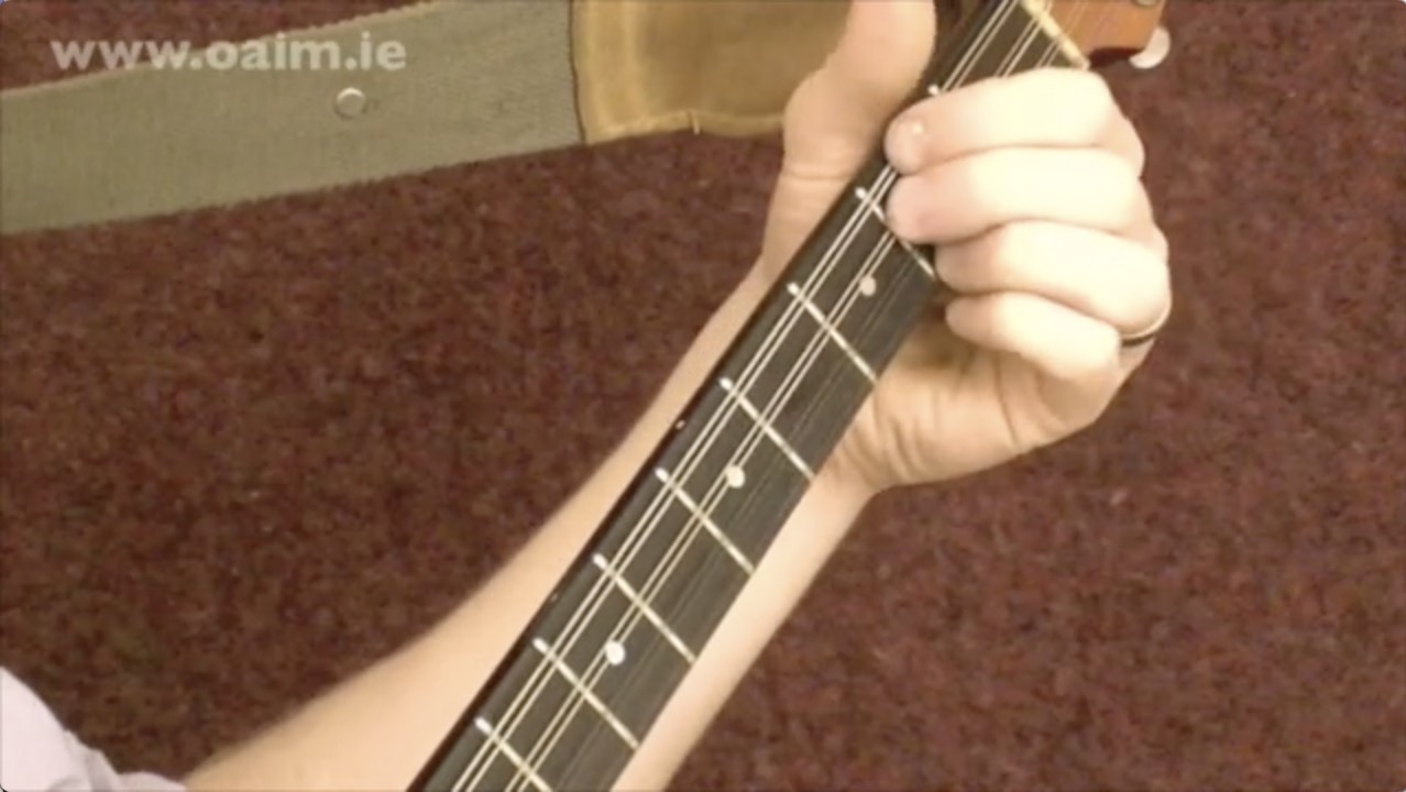 Irish Bouzouki Lessons Online Learn the Bouzouki OAIM