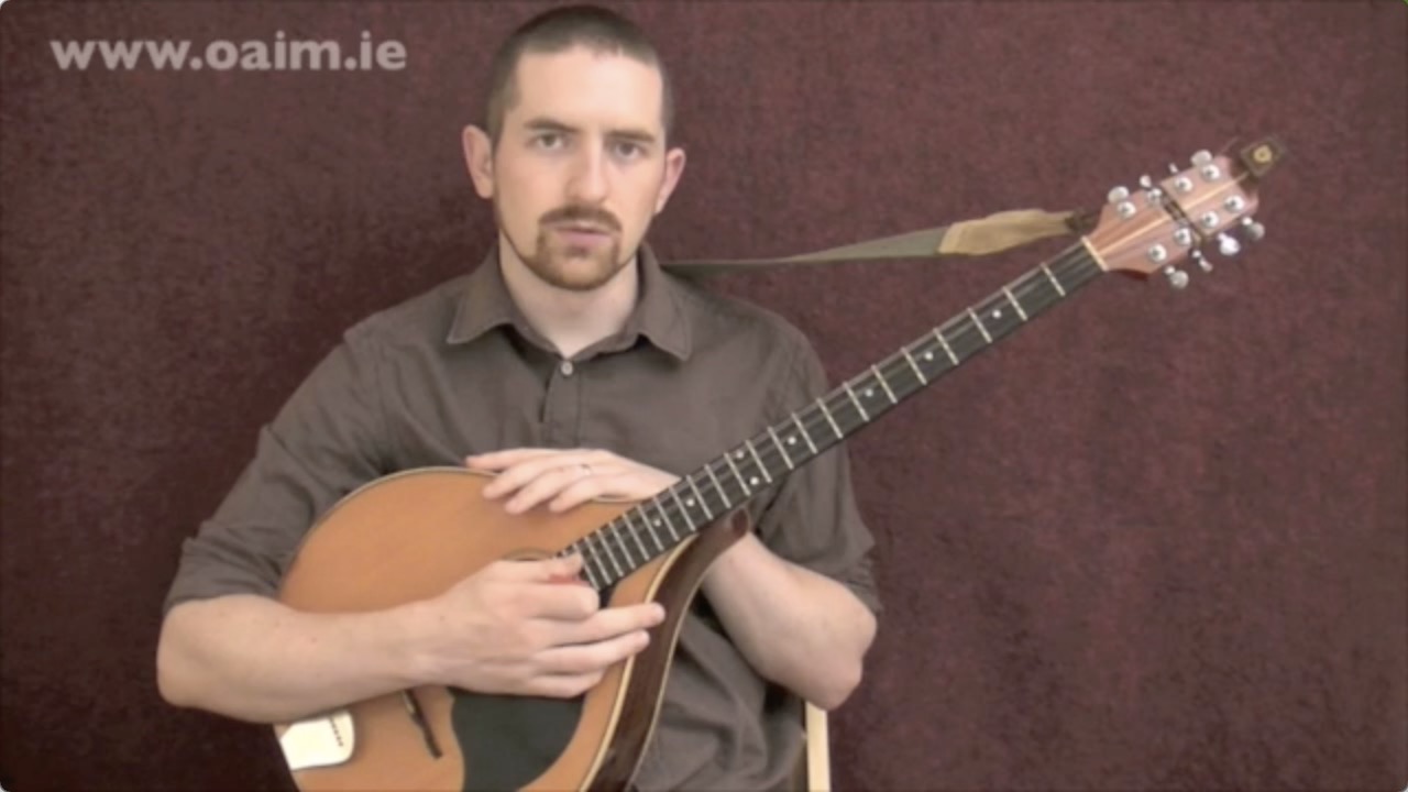 Irish Bouzouki Lessons Online Learn the Bouzouki OAIM