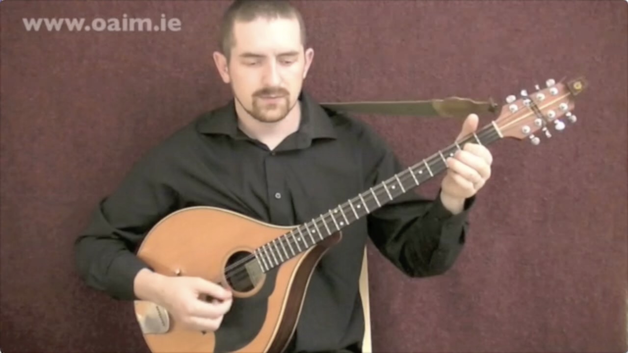 Irish Bouzouki Lessons Online Learn the Bouzouki OAIM