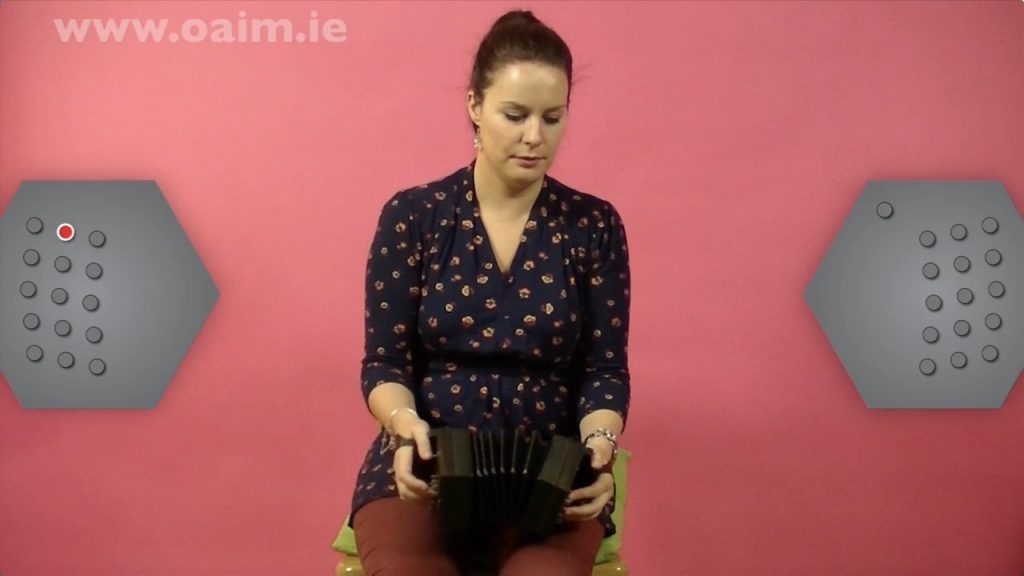 Concertina Lessons Online Learn how to play Concertina OAIM