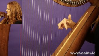 Learn Irish Harp Online