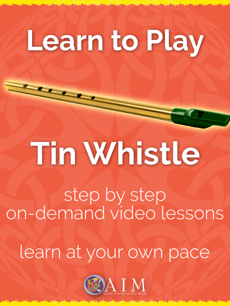 learn tin whistle online