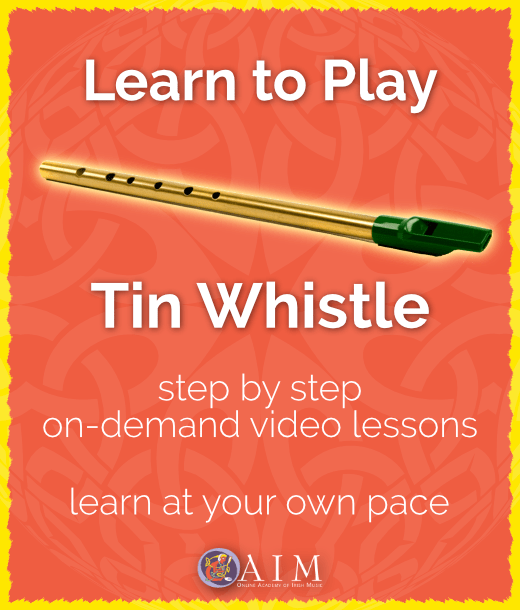learn tin whistle online